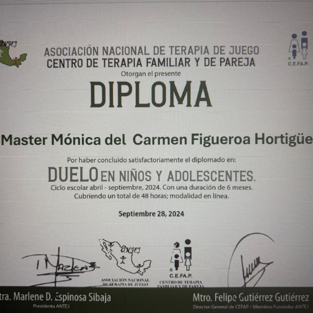 Ampliar imagen: certificate 16