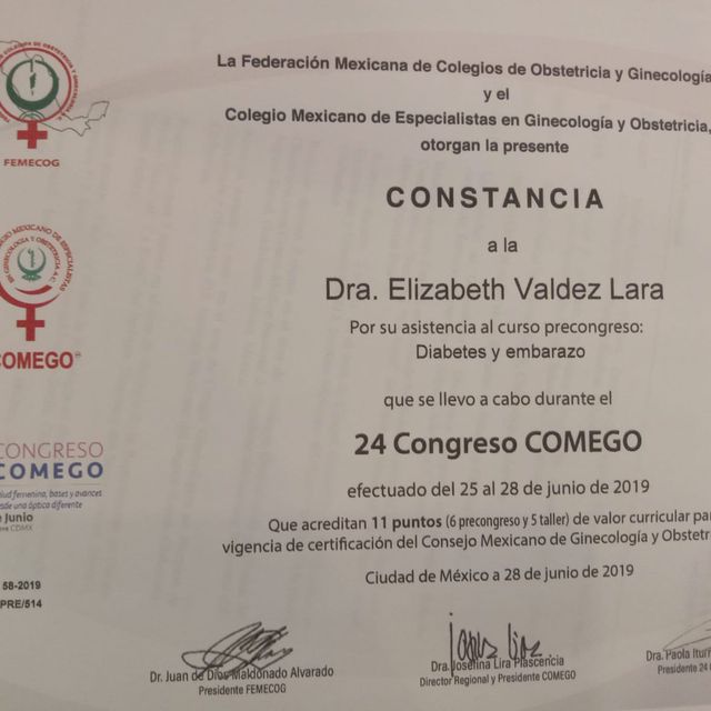 Ampliar imagen: certificate 19