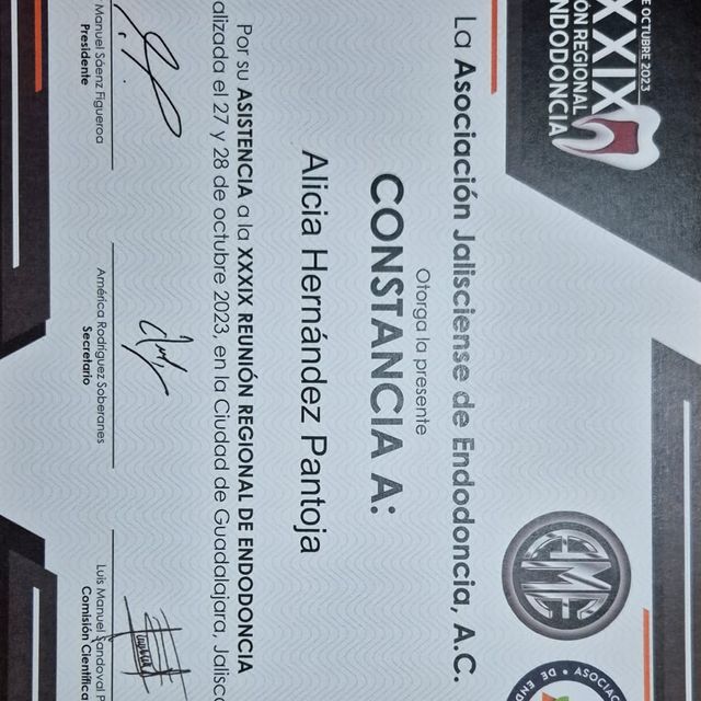 Ampliar imagen: certificate 3