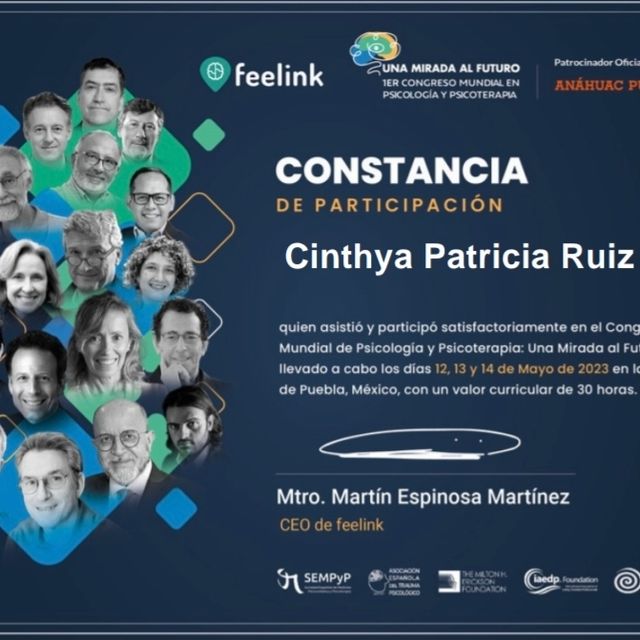 Ampliar imagen: certificate 2