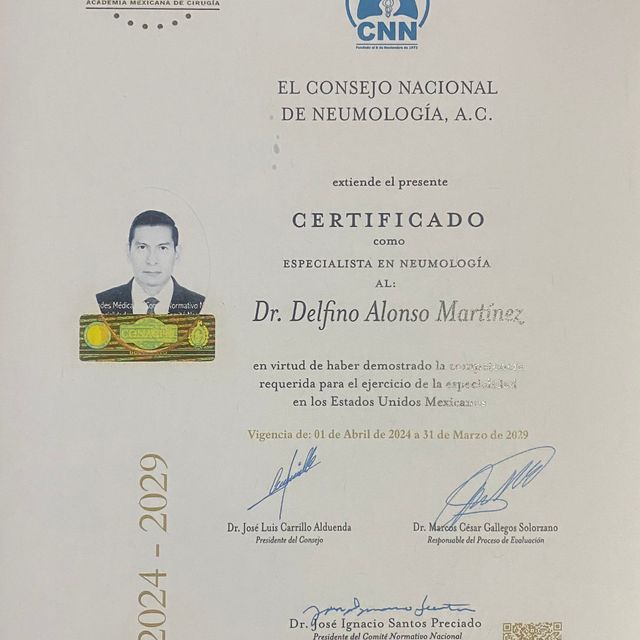 Ampliar imagen: certificate 5