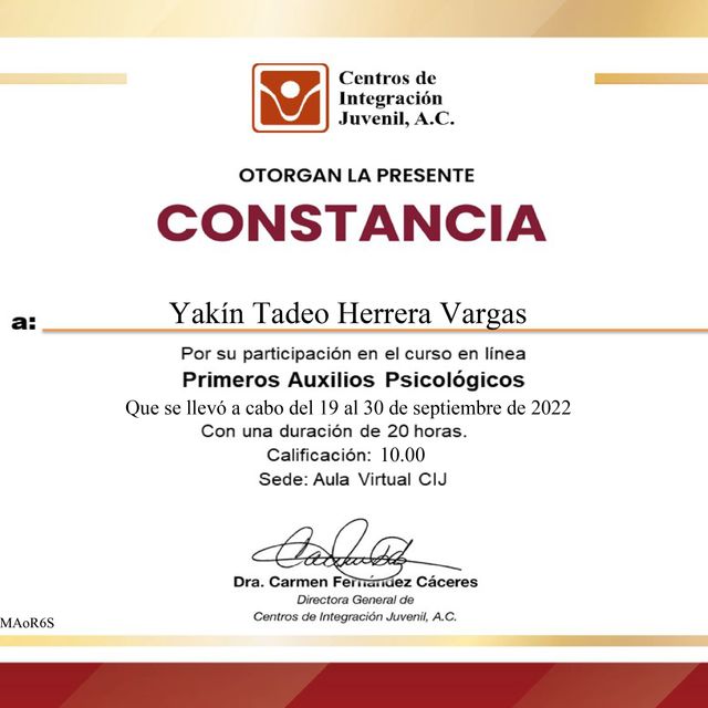 Ampliar imagen: certificate 5
