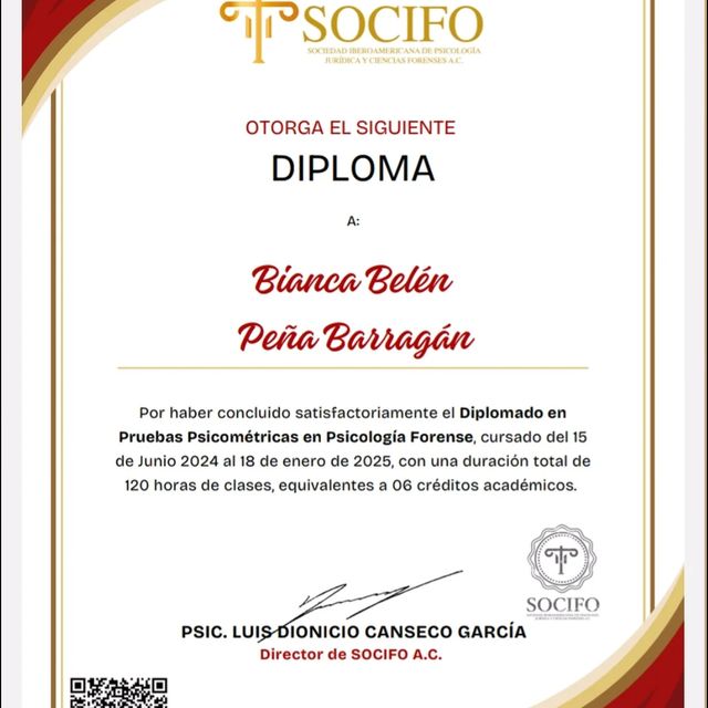Ampliar imagen: certificate 19