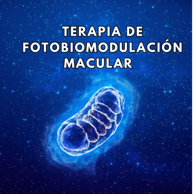 Ampliar imagen: Consultorio homero 527