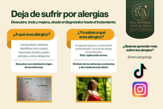 Ampliar imagen: Consulta en línea