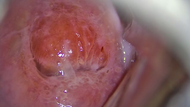 Ampliar imagen: Consulta en Línea