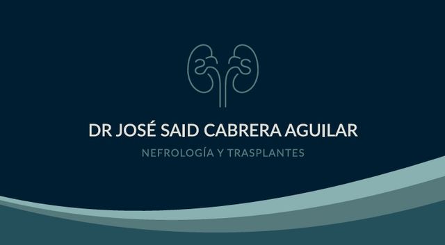 Ampliar imagen: Renal Care