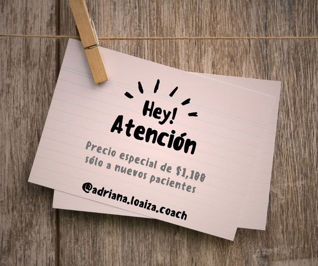 Ampliar imagen: ON LINE