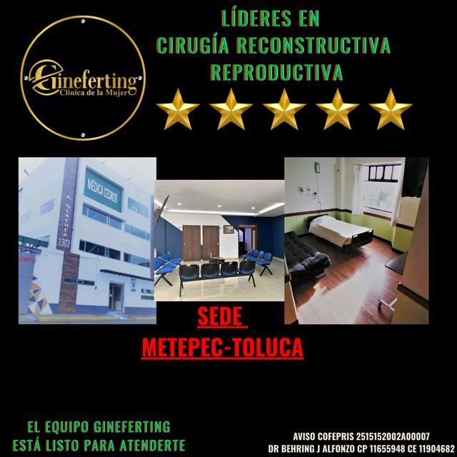 Ampliar imagen: Gineferting METEPEC TOLUCA