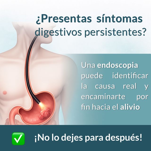 Ampliar imagen: Andador Médico Roma Norte