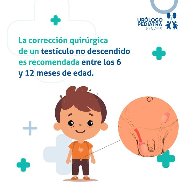 Ampliar imagen: Hospital Angeles Universidad