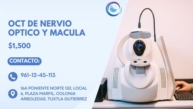 Ampliar imagen: Plaza Marfil, Local 6