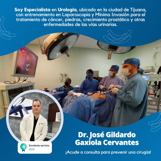 Ampliar imagen: Consultas en línea