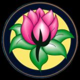 Ampliar imagen: Psicoterapia Santé