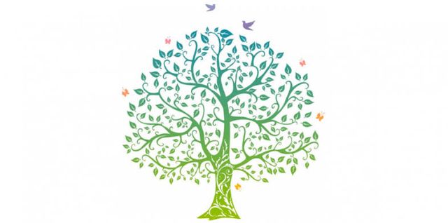 Ampliar imagen: Cardio Roma