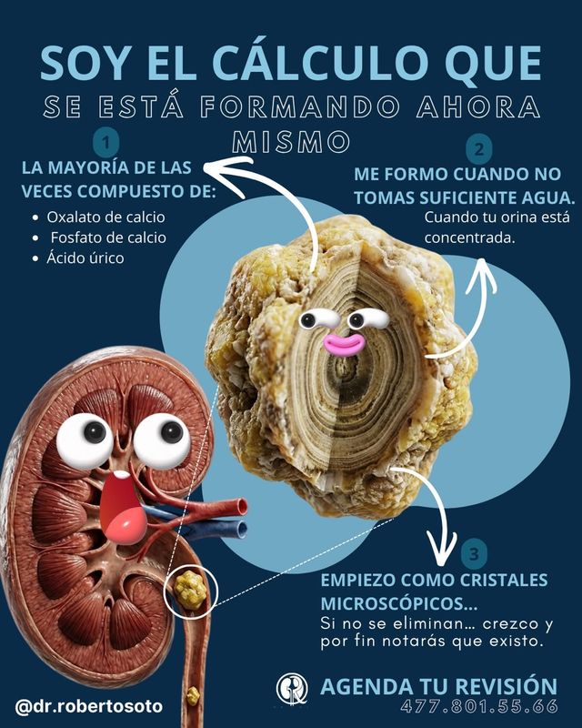 Ampliar imagen: Consultorio 740, Torre de Especialidades I, Hospital Ángeles León