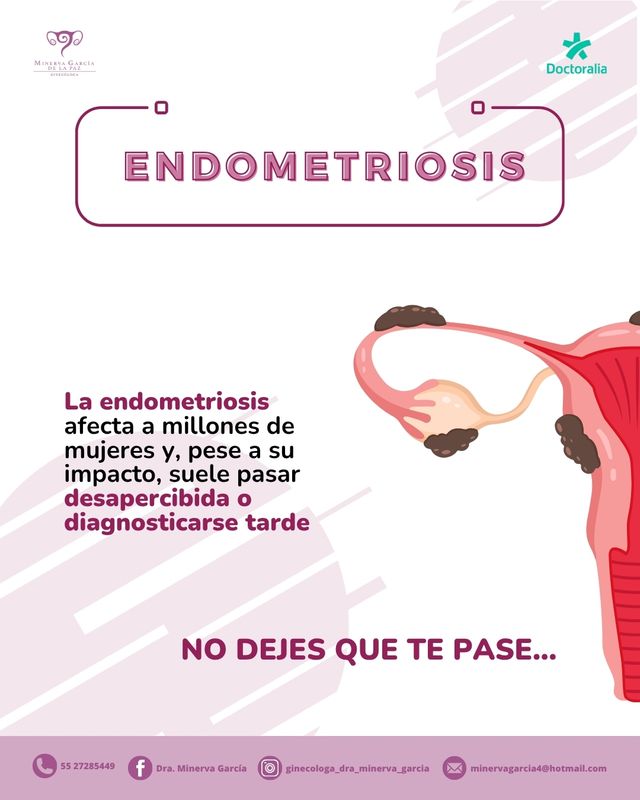 Ampliar imagen: Consultorio Dra Minerva