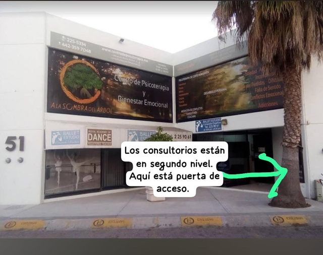 Ampliar imagen: Psicoterapia