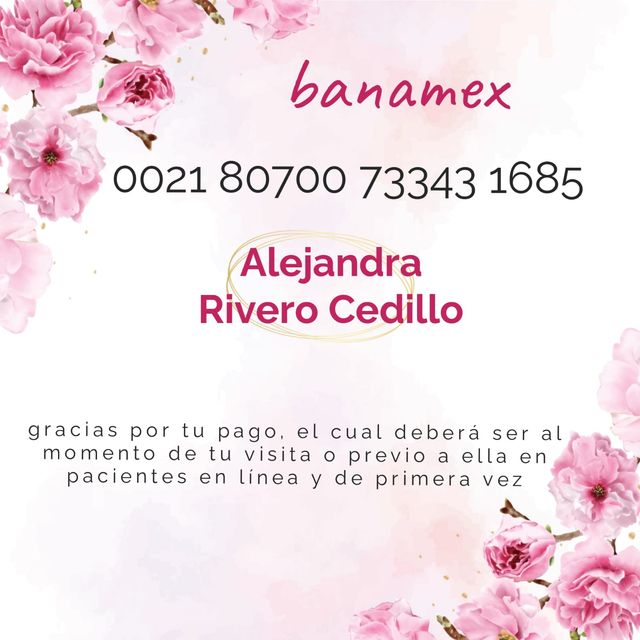 Ampliar imagen: HOLISTICA