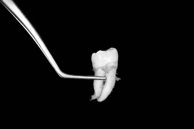 Ampliar imagen: Bemastra Dental Mina