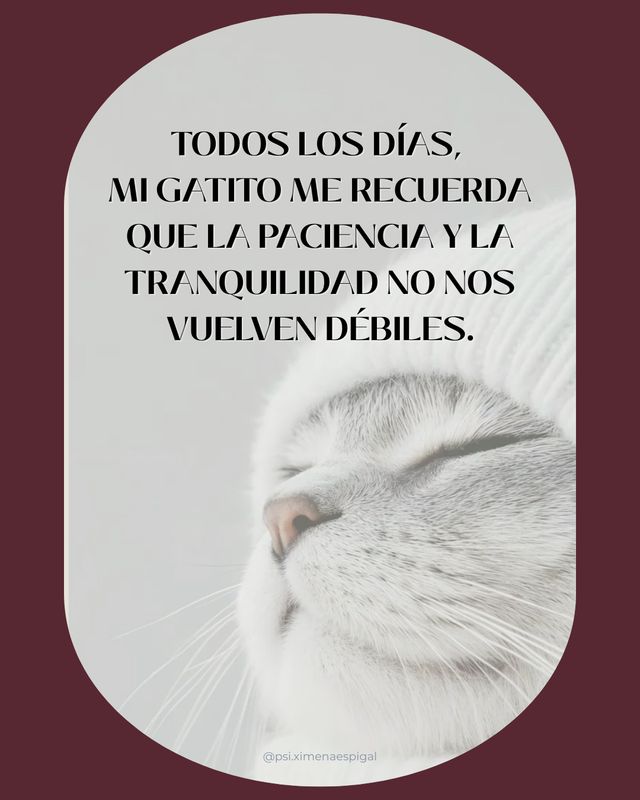 Ampliar imagen: Cafuné Atención Psicológica