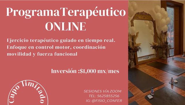 Ampliar imagen: Consulta en línea