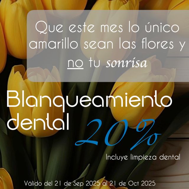 Ampliar imagen: MS.dental studio, Especialista en Rehabilitación Oral (Diseño de sonrisa, Odontologia Estética y Restauradora)