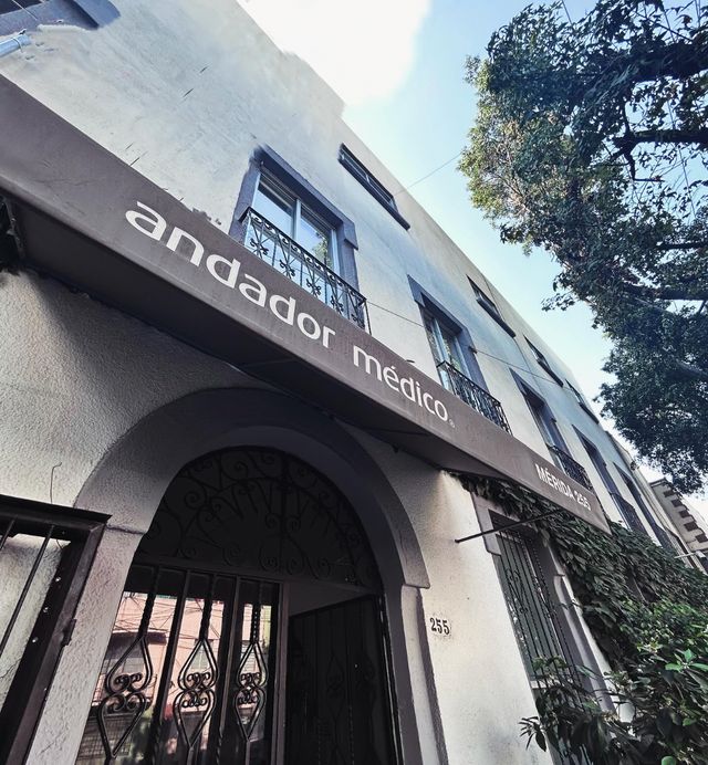 Ampliar imagen: Andador Médico