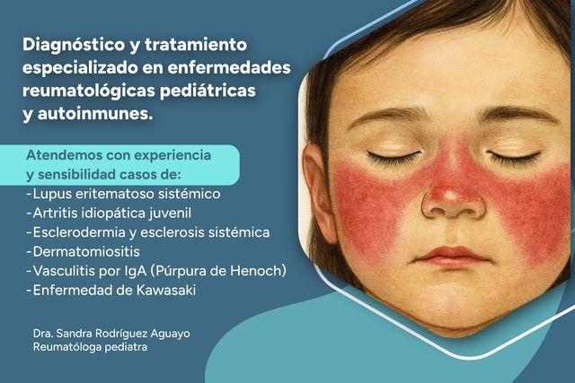 Ampliar imagen: Consultas en línea