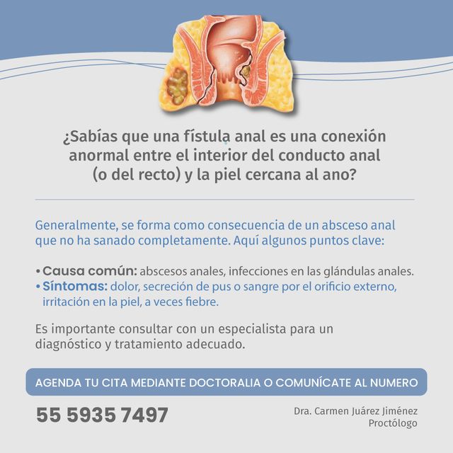 Ampliar imagen: Consultas en línea