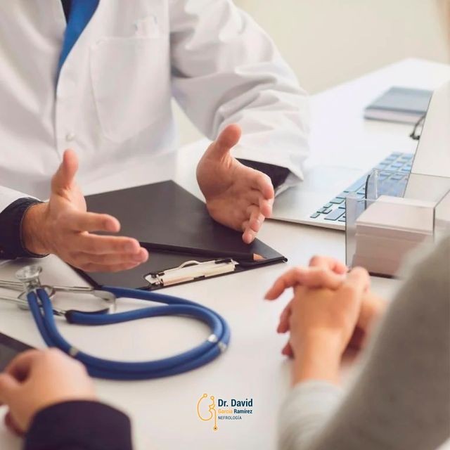 Ampliar imagen: Consultas en línea