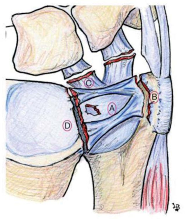 Ampliar imagen: Consulta en línea