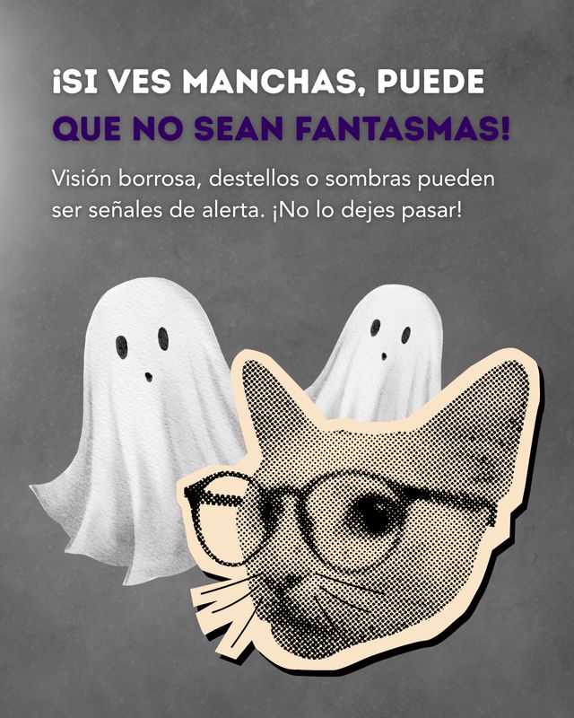 Ampliar imagen: Centro Médico Quirúrgico de Celaya