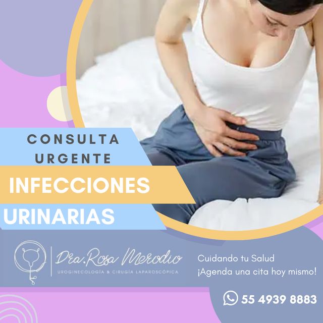 Ampliar imagen: Consulta en línea