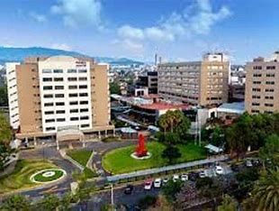 Ampliar imagen: Kinética