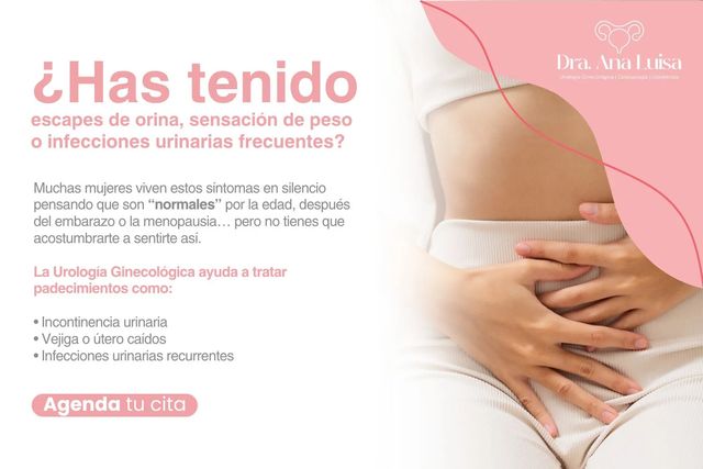 Ampliar imagen: Urología Ginecológica
