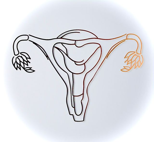 Ampliar imagen: Ginecología y obstetricia