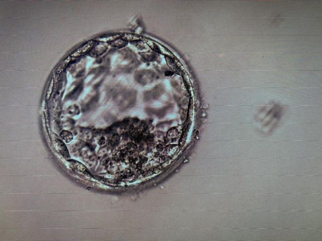 Ampliar imagen: Hospital Ángeles Lomas