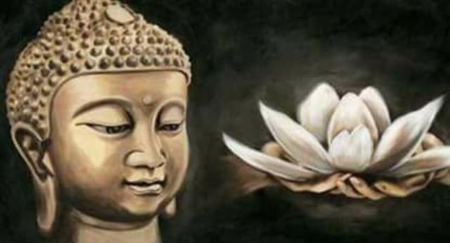 Ampliar imagen: Dr. Williams Rodríguez G. PsicoHipnoHomeopatía