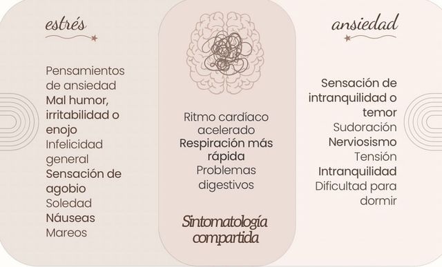 Ampliar imagen: Consultorio virtual (en línea)