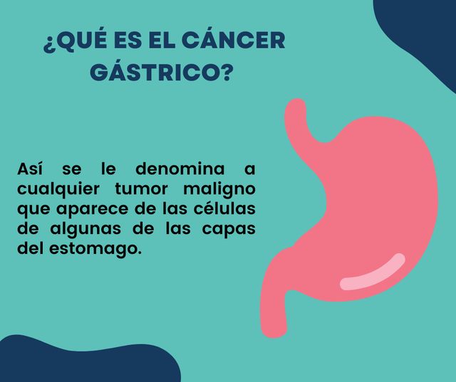 Ampliar imagen: Consulta en línea