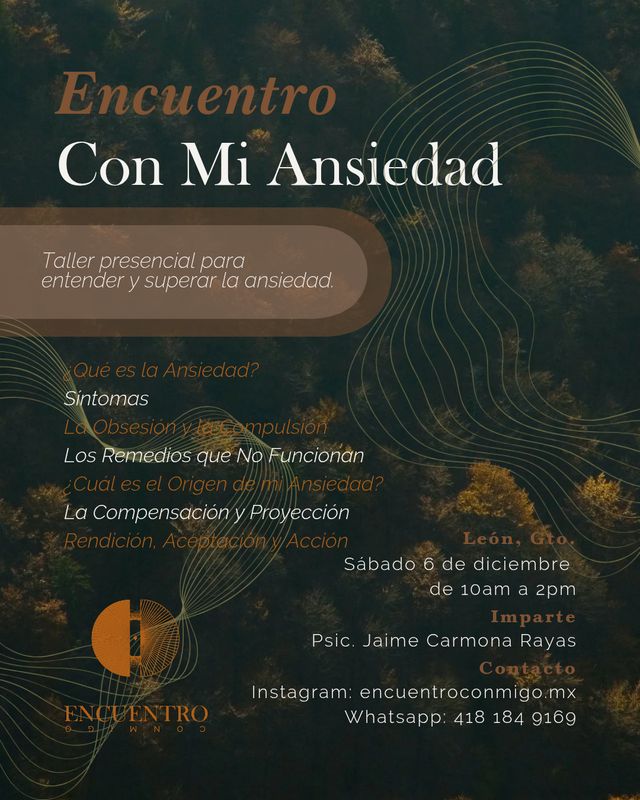 Ampliar imagen: Terapia Individual