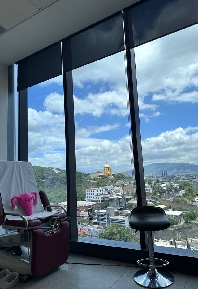 Ampliar imagen: Mi Gine Mty