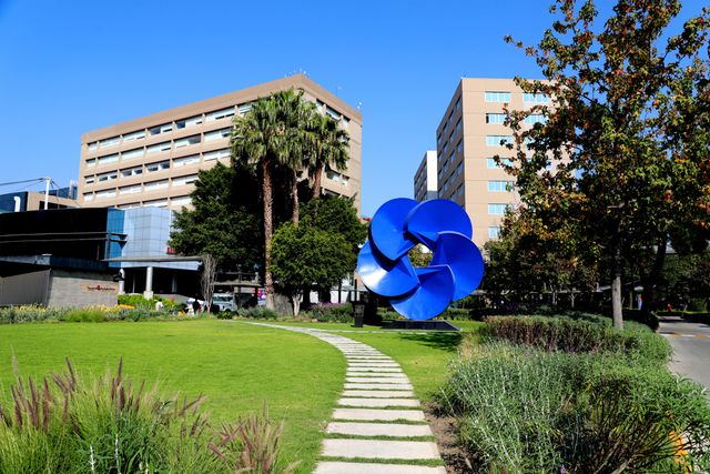 Ampliar imagen: Médica Sur