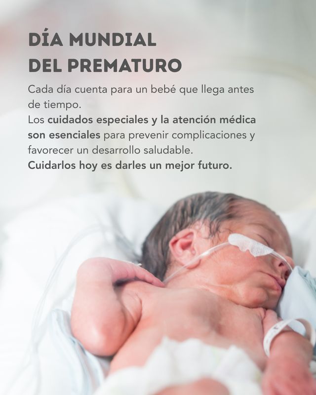 Ampliar imagen: Consulta en línea