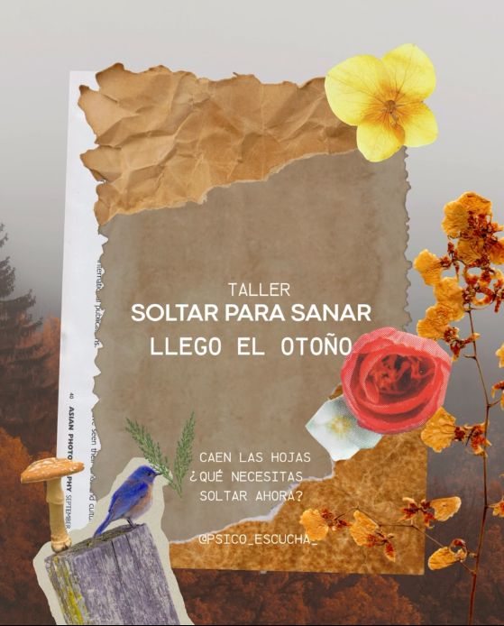 Ampliar imagen: MindBloom Center