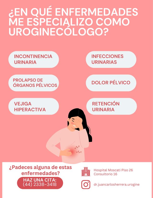 Ampliar imagen: Consulta en línea