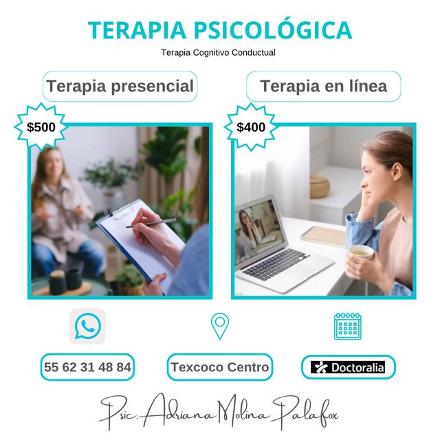 Ampliar imagen: Psic. Adriana Molina Palafox en línea