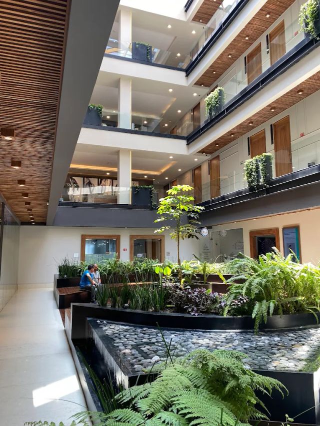 Ampliar imagen: Torre Medica Tlalpan Consultorio 227 (solicitar horarios disponibles vía WhatsApp