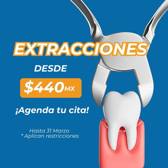 Ampliar imagen: Clínica Dental Bit